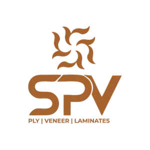 SPV is an Adept's client.