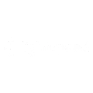 Lightspeed transparent logo