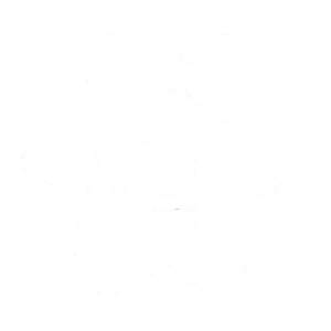 React development services by Adept Digitals.