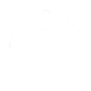 WordPress development