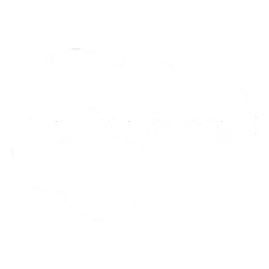 Salesforce the customer relationship management