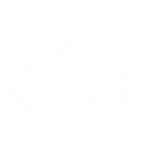 SEO Quake the SEO audit tool