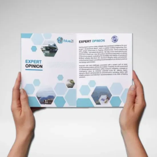 Blue21 Expert Opinion brochure design by Adept Digitals